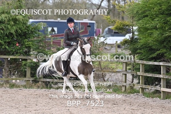 BPP_7523 - RING 1  (RIDDEN HORSES / IN HAND / VETERAN ETC)