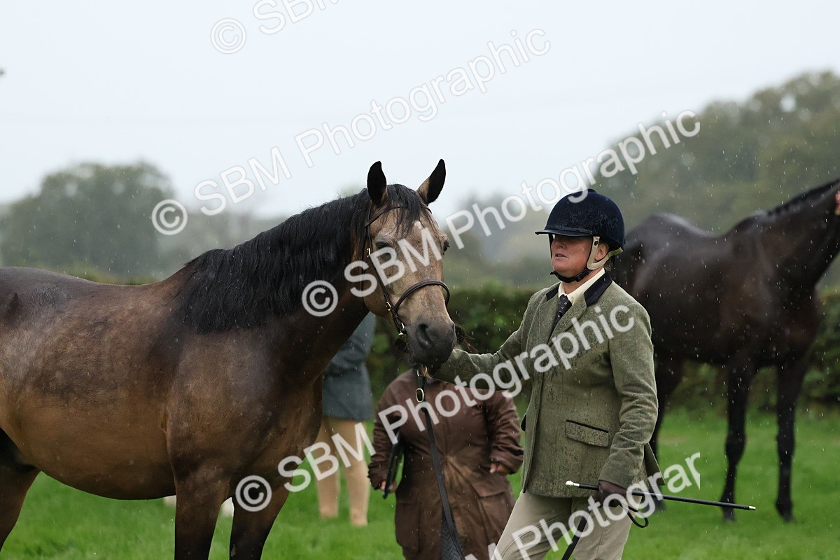 SBM_35327 - S10 - Best In Hand Horse & Pony