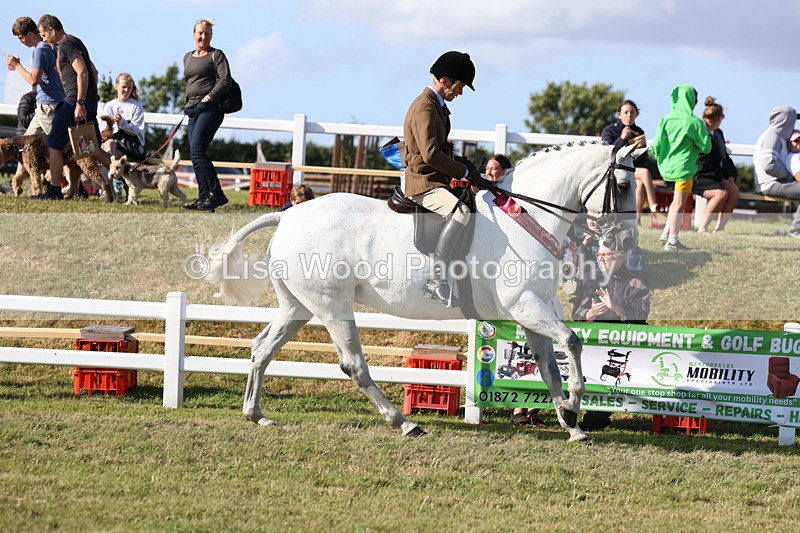 3E7A4263 - Supreme Championship