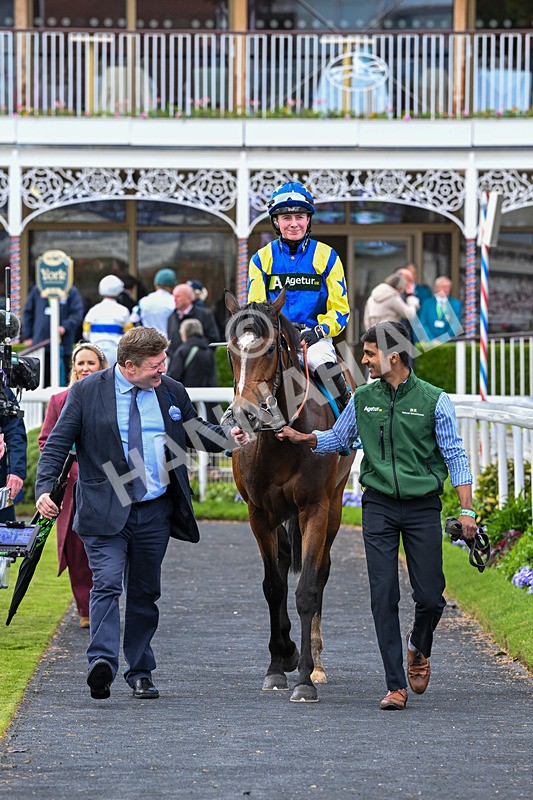 130526-Race 6-Startled-3492 - Race 6 4.40pm Conundrum HR Consulting Handicap