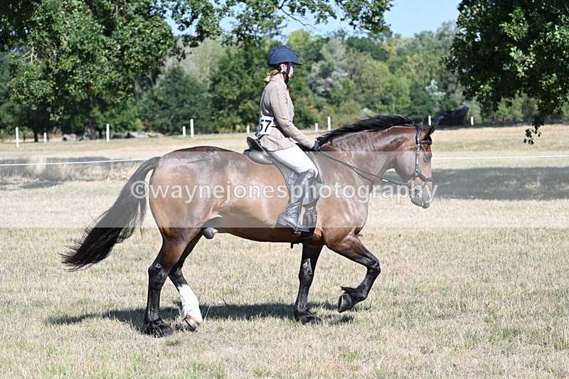 WJ7_3949 - Class 9 Mountain & Moorland Ridden