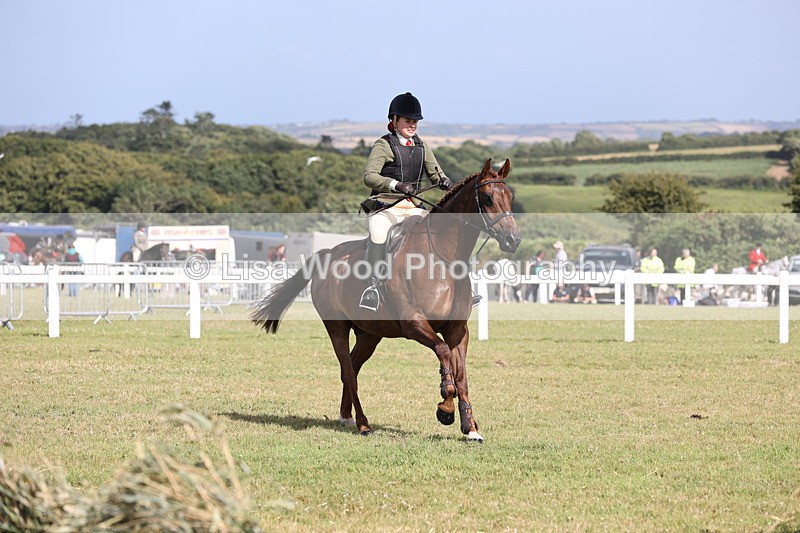 JPP_2551 - Class 20: Working Hunter 70cm