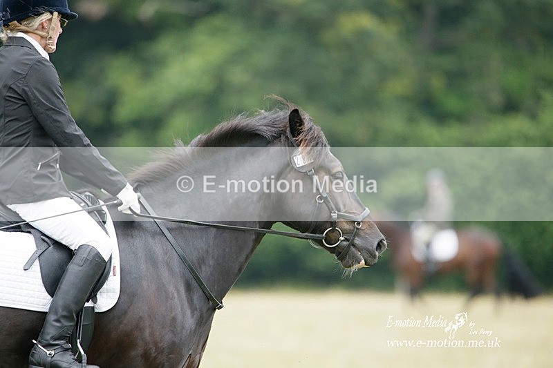 BVRC 030721 55 - Bourne Valley Riding Club Dressage 03/07/21