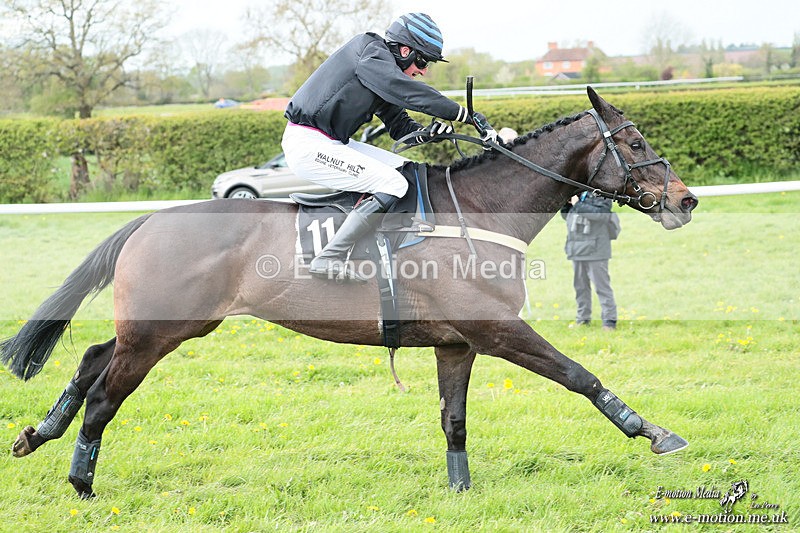 PtP 180426 577 - Worcestershire Hunt PtP Chaddesley Corbett 18/04/26