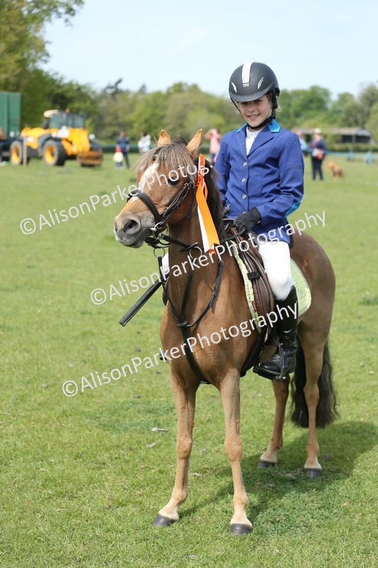 20260426-1813 - Class 14 - Novice 60cm