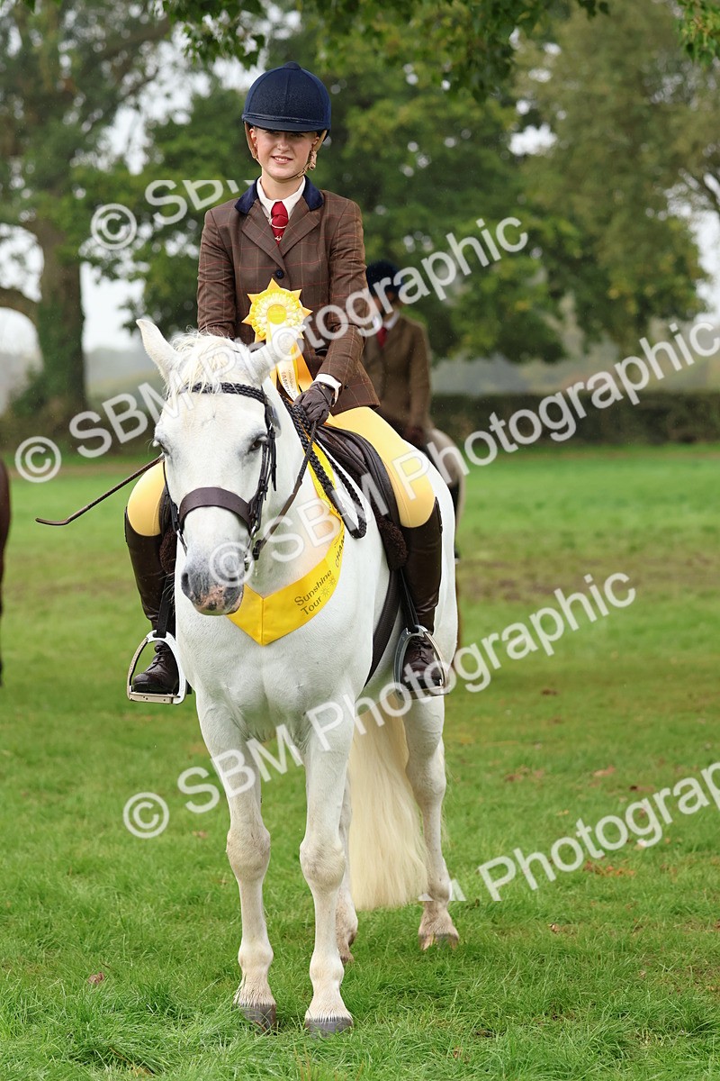 SBM_69738 - S62 - Mountain & Moorland Ridden Large Breeds