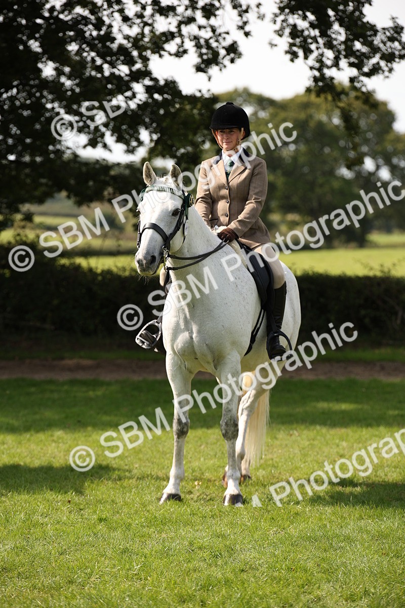 SBM_65983 - S64 - Riding Horse & Hack & Thoroughbred Ridden