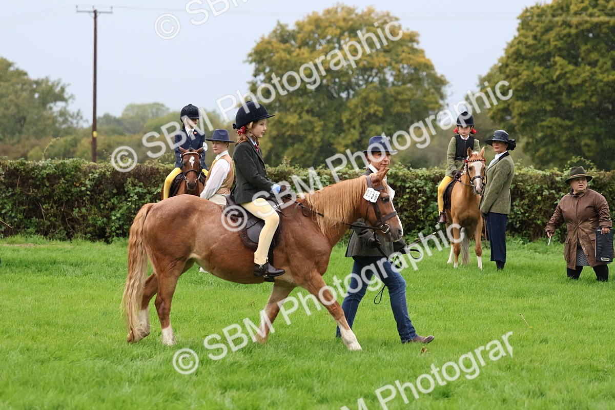 SBM_33341 - S8 - Best Turned Out