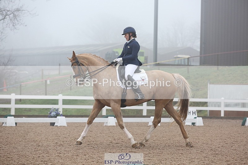 240217A-123314-02908 - 274-Clare.Smith-Dori.Dragon.Fly