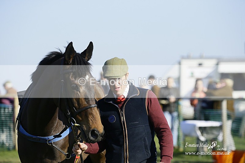 PtP 190322 640 - Wilton Hunt PtP Milborne St Andrew 19/03/22