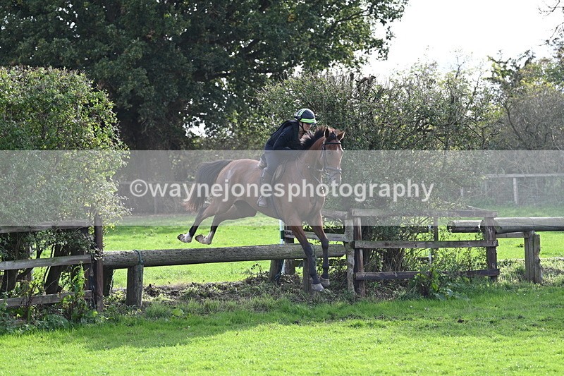 WJ7_0970 - Time 14:27 to 15:11