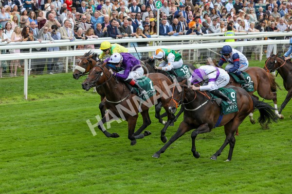 220824-Race 2-Diligently-7629 - Race 2 2.25pm Harry's Half Million By Goffs Premier Yearling Stakes