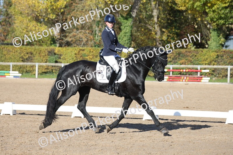 20251102-0566 - Class 3 - Novice 5