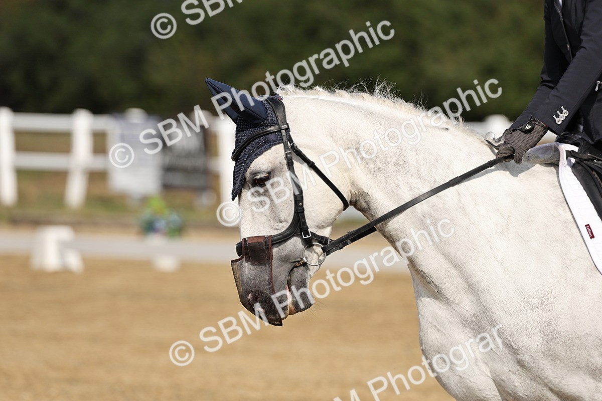 SBM_017493 - Class 12-14 - Intro 2-Prelim 5