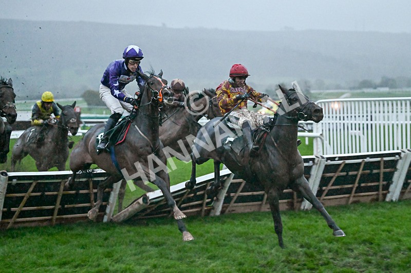 141125-Race 6-Frontier Prince-1512 - Race 6