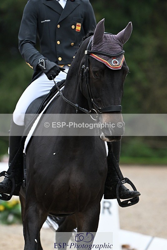 231019-092136-01043 - 024-BIG.LISANDER.K.Z-Pau.Catala-DR