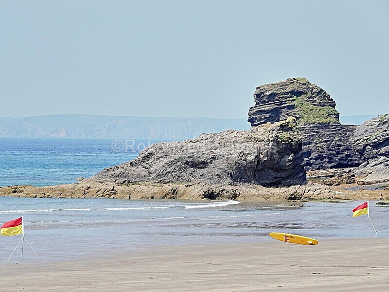 DSC00147 - Skomer 2019