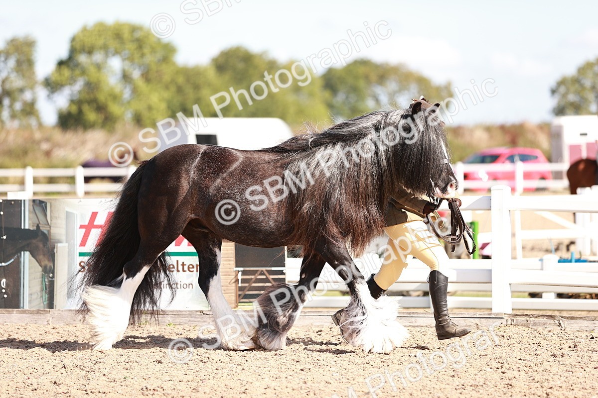SBM_12568 - Class 404 - IH Traditional - Native Cob