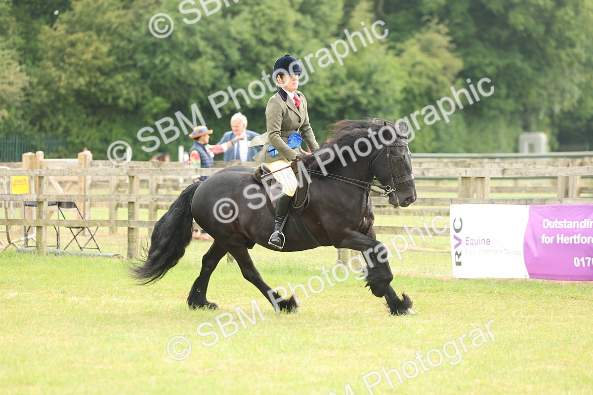 SBM_09126 - Class 78-80 - Ridden M&M Non Welsh Ponies