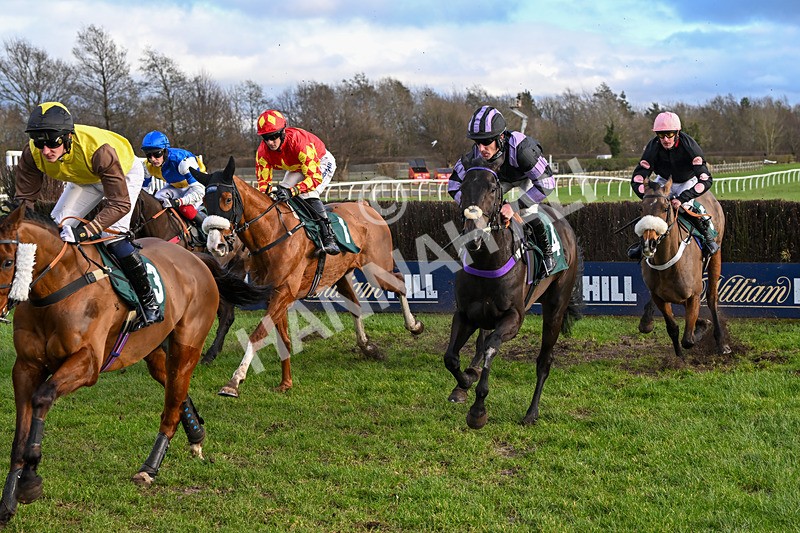 020224-Race 4-Treaty Boy-8297 - Race 4