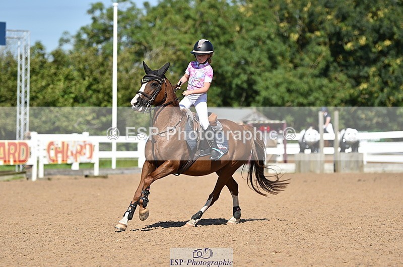 230903A-111820-04154 - Cls 18 Pony Brit Novice & 80cm Open