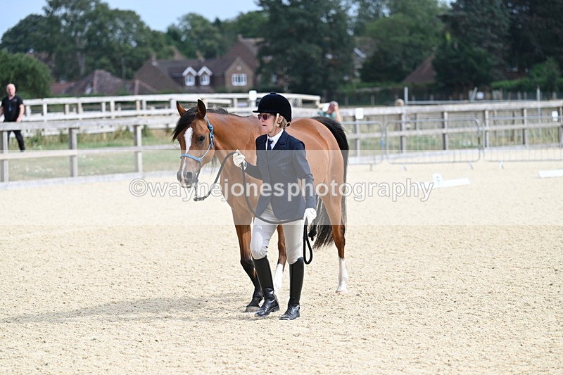 WJ7_1778 - In Hand