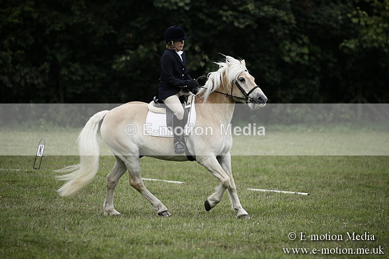 BVR090918 81 - BVRC Dressage and Show Jumping 09/09/18