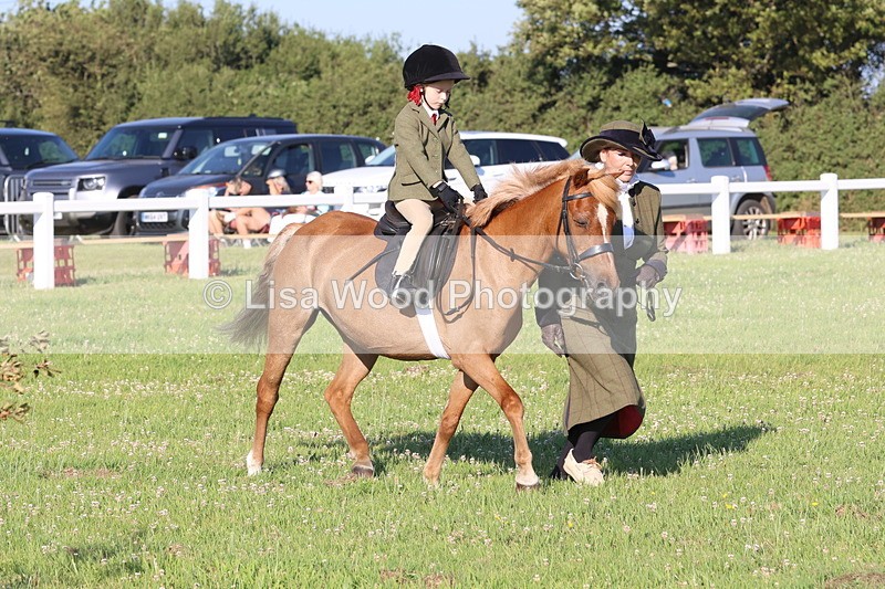JPP_0758 - Class 16: Cornish Combination Leading Rein