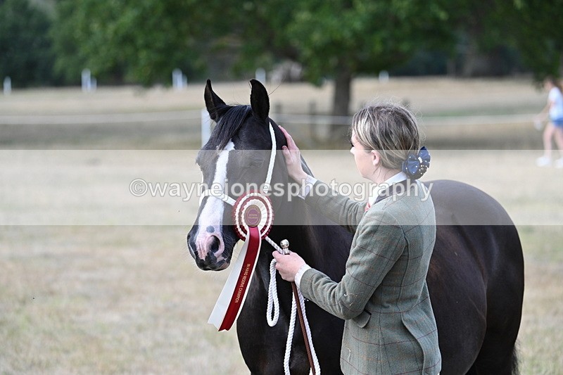 WJ7_8379 - In-hand Championship