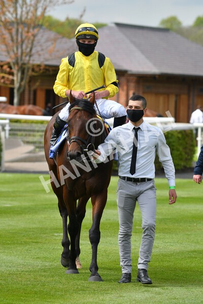 yr12052021r1-46 - Race 1 1.40pm Sky Bet Race to the Ebor Jorvik Stakes