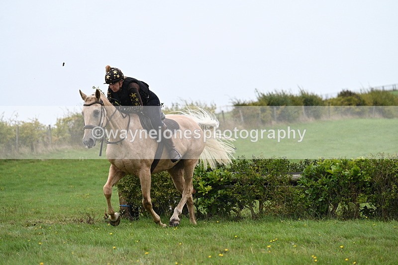 WJ7_9226 - Time 14:01 to 14:20