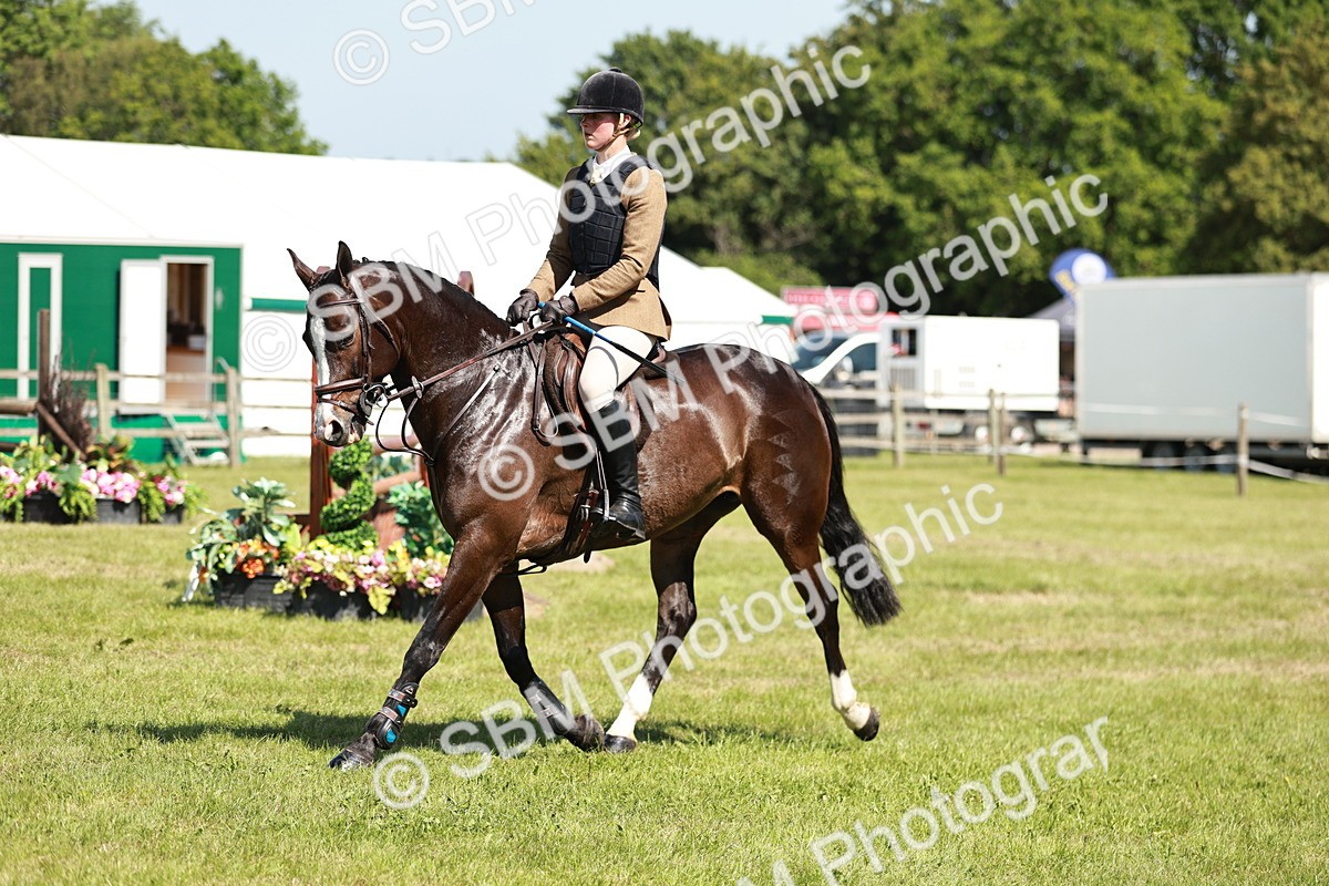 SBM_18390 - Class 112-113 - BSPS LIHS Working Sports Pony