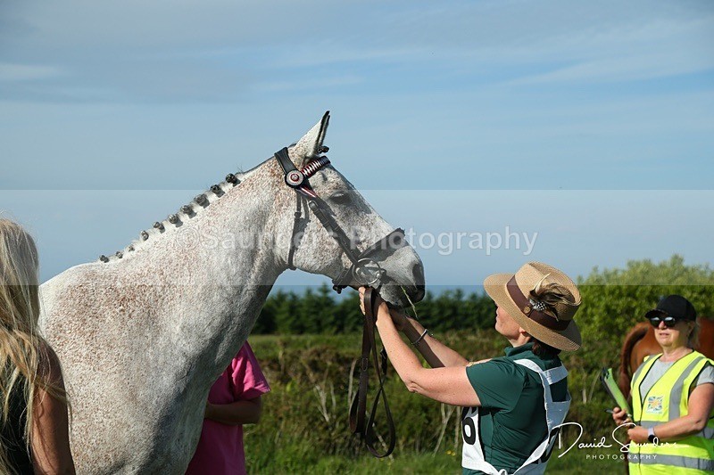 DSPX2114 - Friday vetting