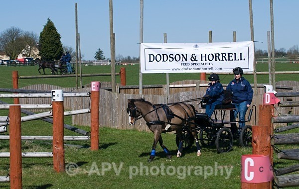 _DSC0040 - Ashfields Carriage & Polo Club