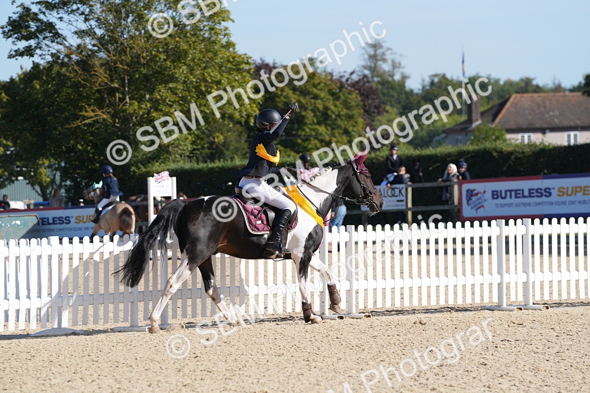 SBM_36259 - J 20 - Junior Horse 50cm Championship