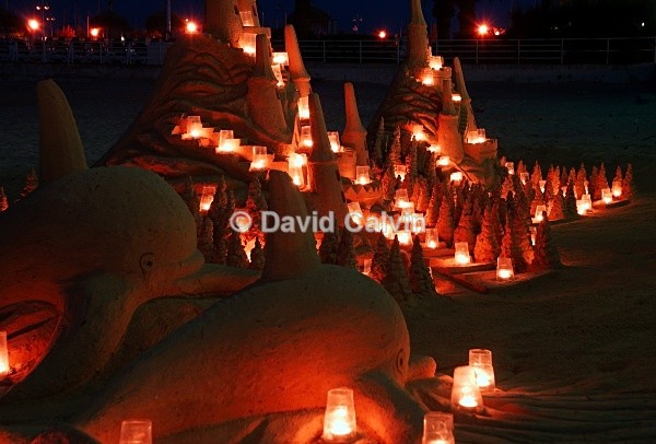 Sand Sculptures - Nocturnal