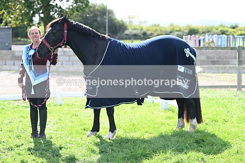 WJ7_1745 - 80cm Champs