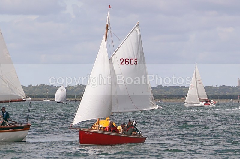 170603 - MISS NINJI - OLD GAFFERS 1Y3A3020 - YARMOUTH OLD GAFFERS RACE 3rd JUNE 2017