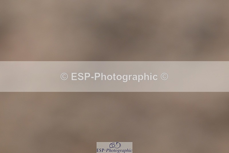 250621-171138-12276 - Cls 35 - Adv Medium 5, Start to 17.20