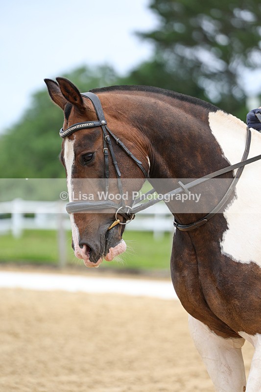 3E7A9214 - Class 2: Intro 1 2024 Section B