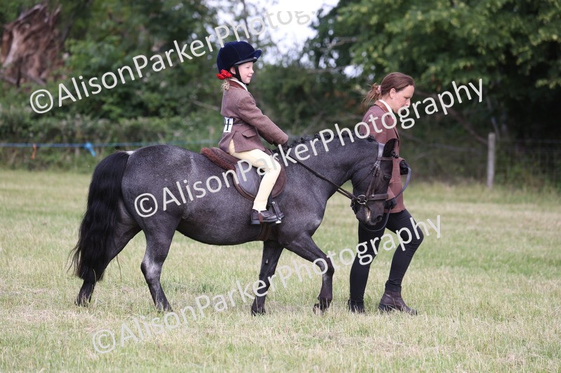 20260614-0809 - Class 20 - Beginners Working Hunter Pony