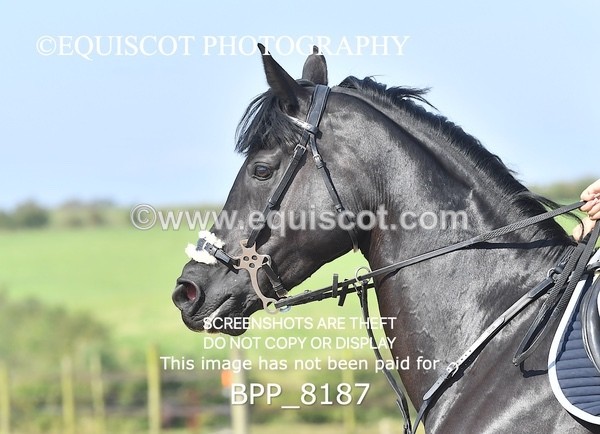 BPP_8187 - CLASS 6 Senior Newcomers/ 1.10m Open