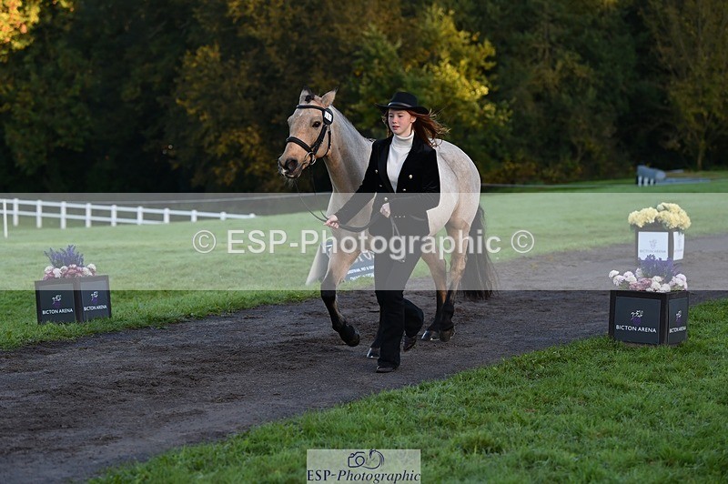 231022-084752-21363 - 661-MYSHALL.ROBBY-Poppy.Turriff-TrotUp+SJ