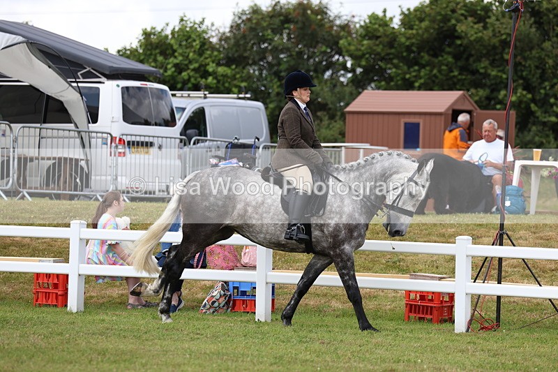 3E7A0536 - Rising Star Ridden Championship