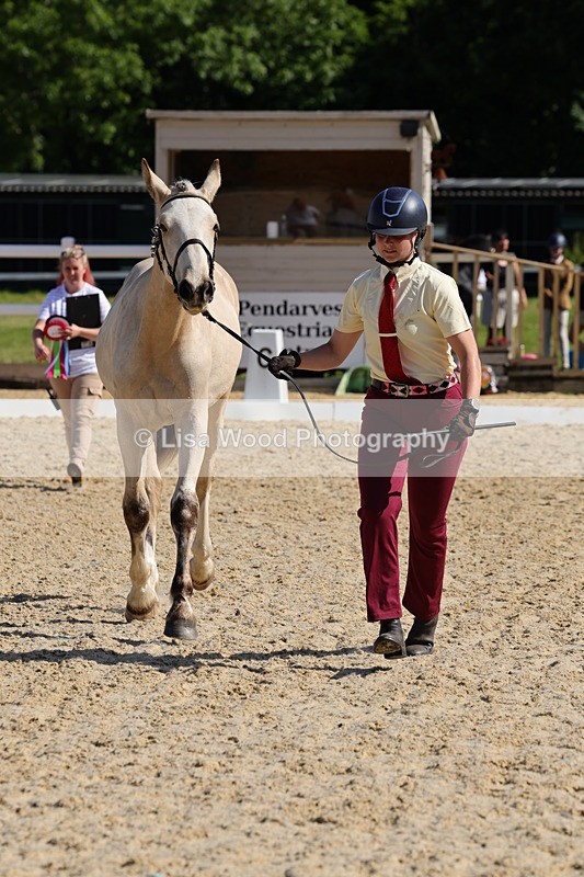1X9A0765 - Class 4: Youngstock 1, 2, 3 year old to exceed 153cm