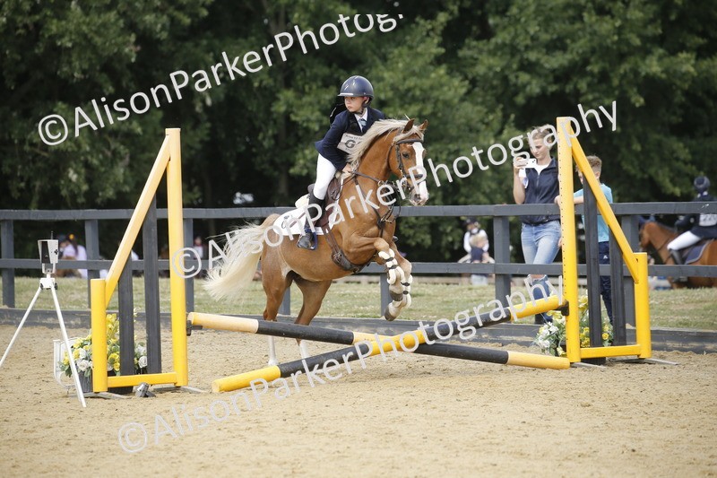 20250622-4040 - 50cm