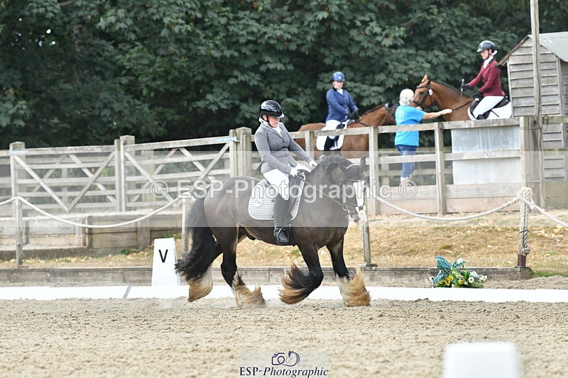 260801A-121834-03885 - Prelim SIlver Break - End