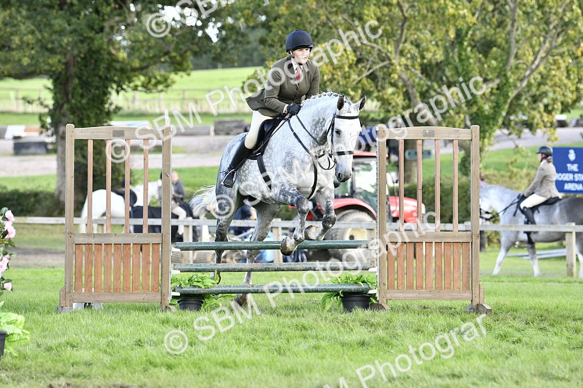 SBM_52162 - S35 - Working Hunter & Working Show Horse