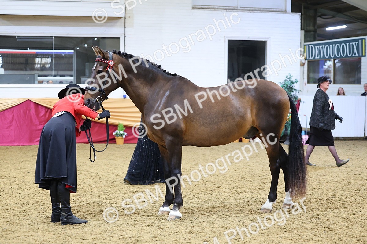 SBM_20878 - Class 902 - Supreme Final IH Veteran