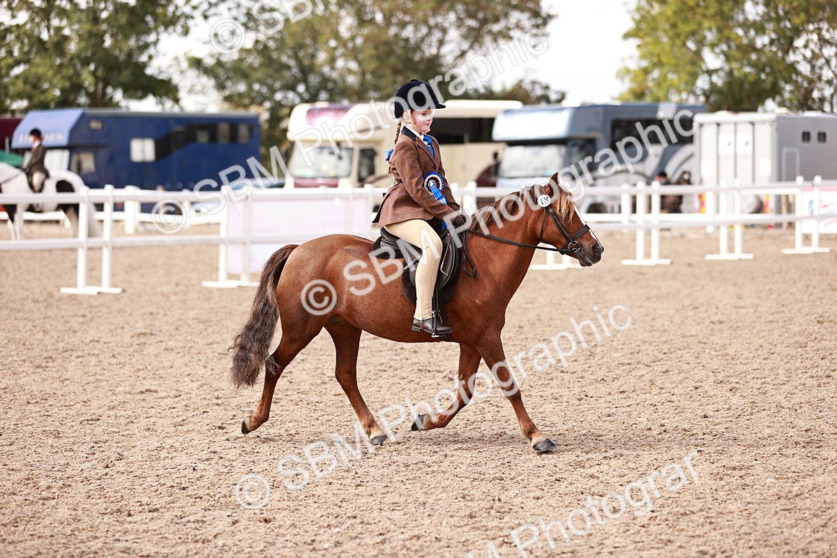 SBM_14413 - Class 409 - Grassroots Ridden - Pony